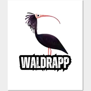 Waldrapp, northern bald ibis, hermit ibis Posters and Art